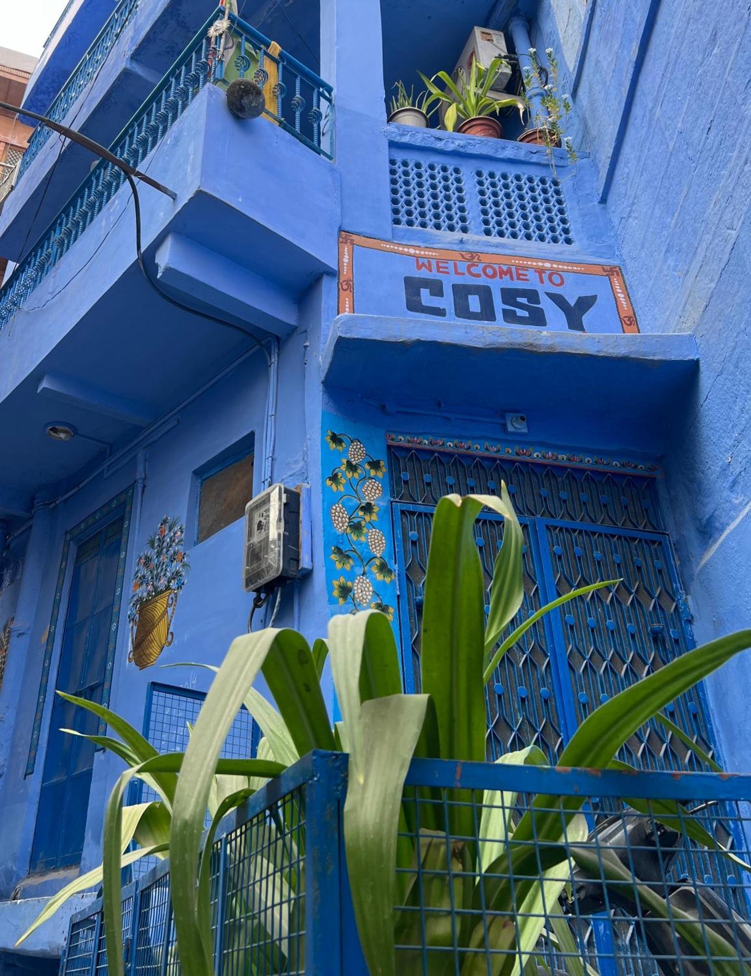 Cosy Guest House Джодхпур Екстер'єр фото